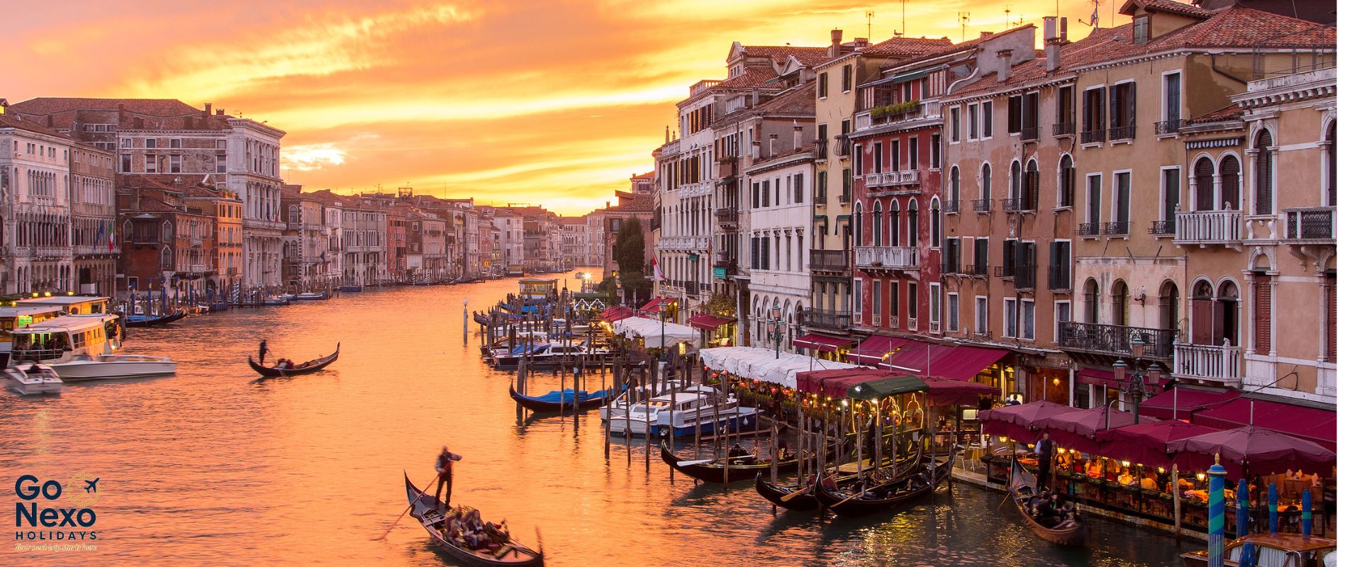 Travel smarter, vacation better with GoNexo